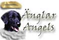 anglartext.jpg (2214 bytes)