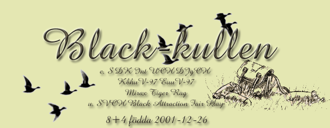 blackkullnamn.gif (55298 bytes)