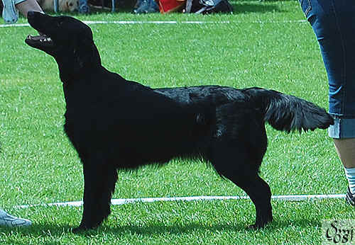boras14.jpg (307041 bytes)